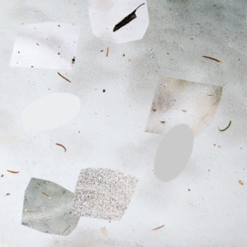 Byron Westbrook : Body Consonance (LP, Album)