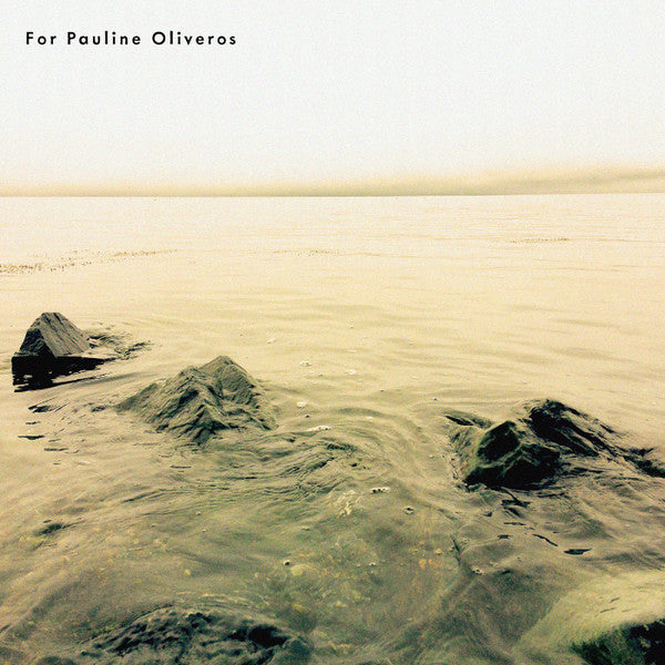 Jonathan Chen I Jefferson Pitcher I Doug Van Nort : One History Of Troy (LP, Album, Ltd, Num, Gre)