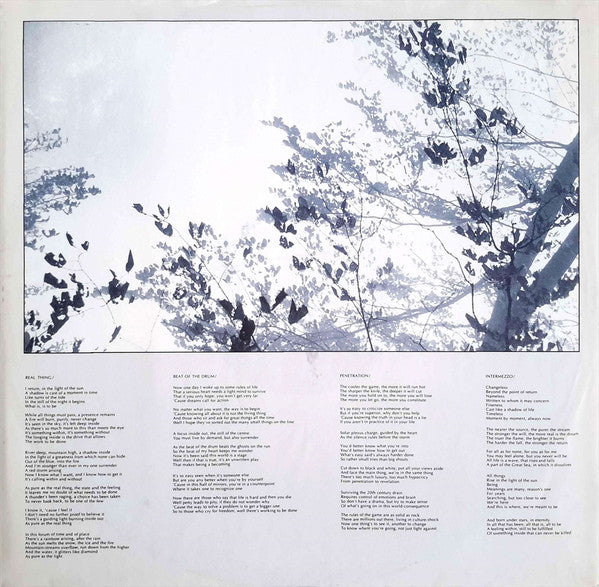 Martin Hall : Presence (LP, Album)