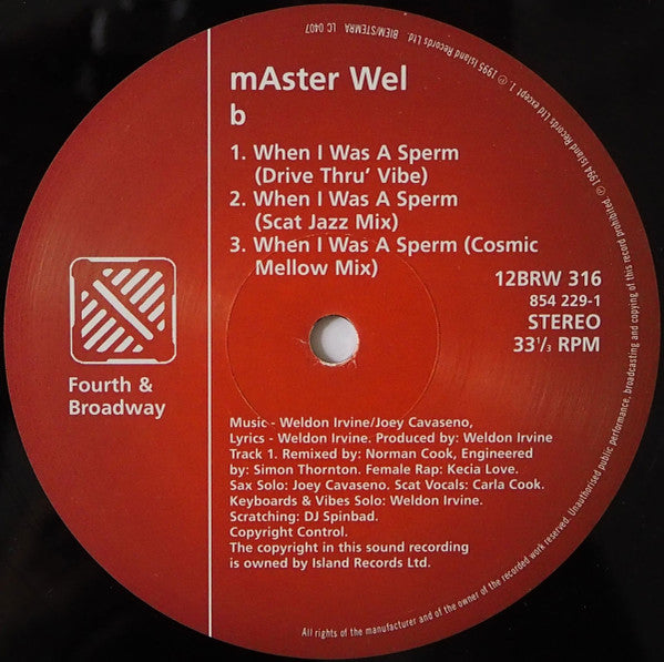Master Wel : When I Was A Sperm (12")