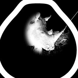 Horn : Schall + Rauch (12")