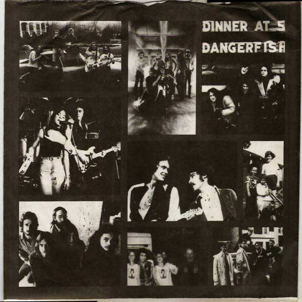 Walter Egan : Not Shy (LP, Album)