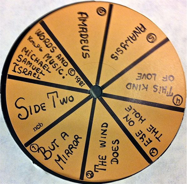 Michael Samuel Israel : Big Brown Bear. Way Out Hotel. Live From The Livingroom (LP)