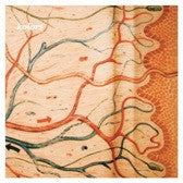 Kolors : Kolors (12", EP)