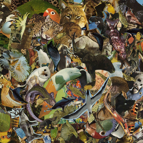 Antti Tolvi : Taikuri Tali (LP, Album)