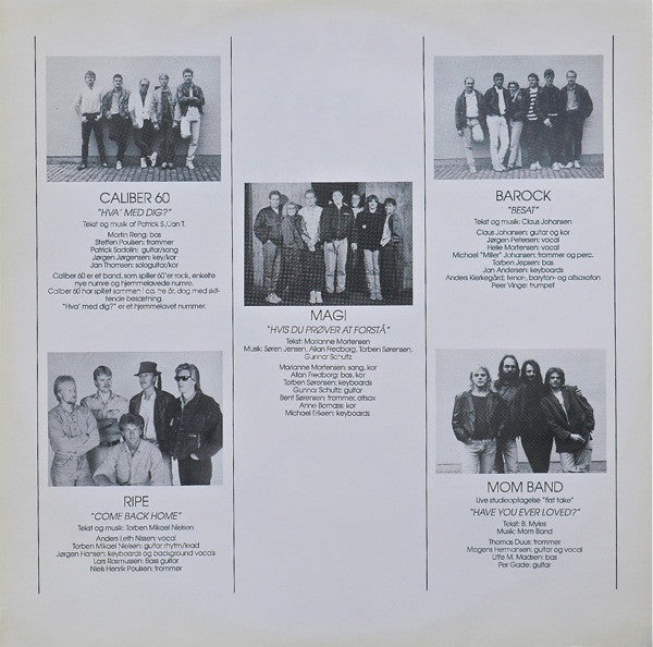 Various : Rock For Regnskoven (LP)