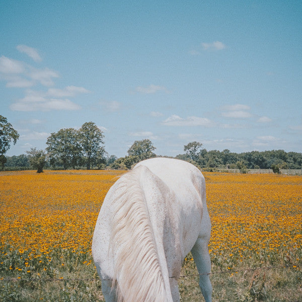 Various : Extremism (12", EP, Ltd)