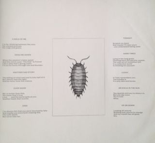 The Boomtown Rats : In The Long Grass (LP, Album)