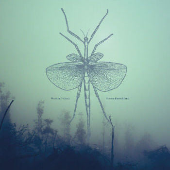 Winter Family : South From Here (LP, Album, Ltd)