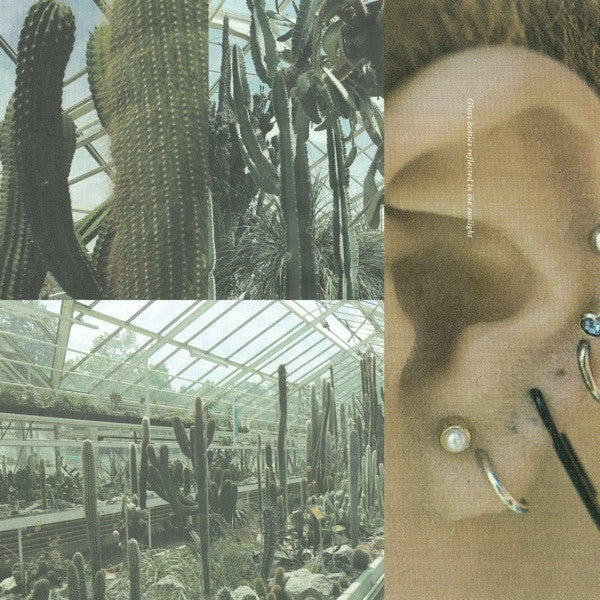 LR (2) : The Fragility Of Happiness (LP, Album, Ltd, RE)