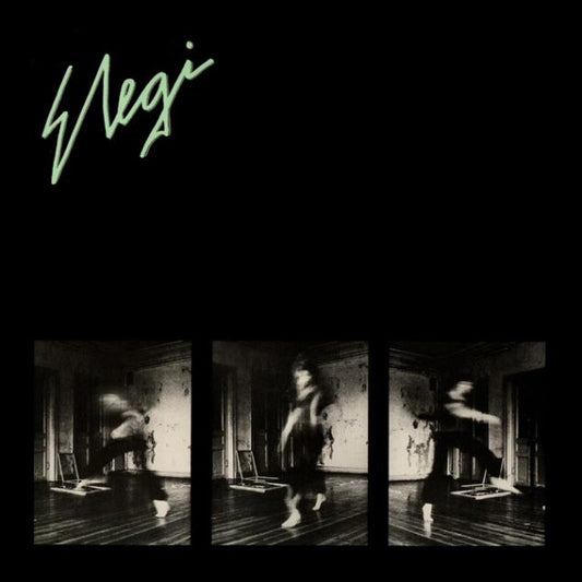 Elegi (2) : Elegi (LP, Album)