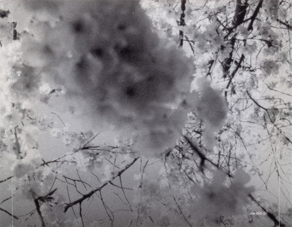 Modest Mouse : The Moon & Antarctica (CD, Album)