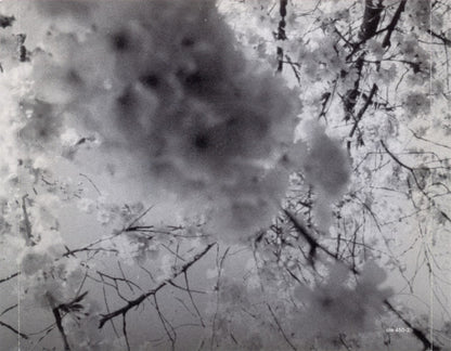 Modest Mouse : The Moon & Antarctica (CD, Album)