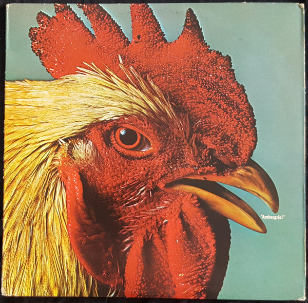 Ambergris (2) : Ambergris (LP, Ind)