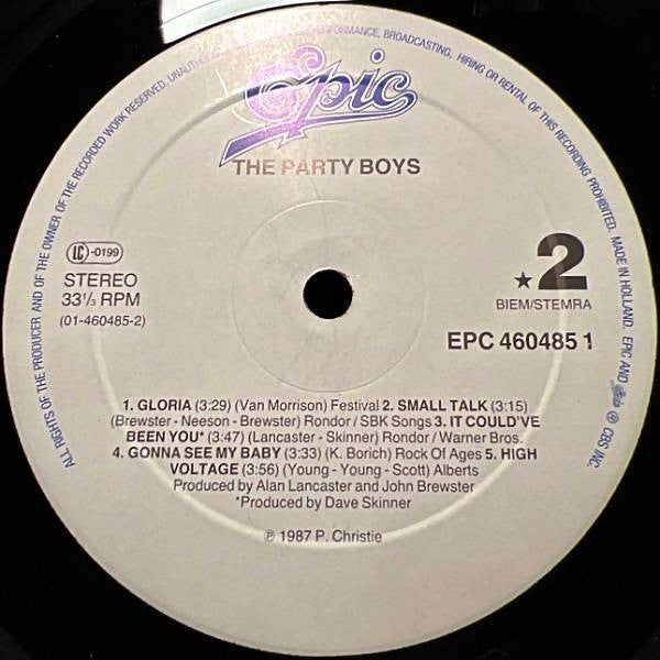 The Party Boys (3) : The Party Boys (LP, Album)