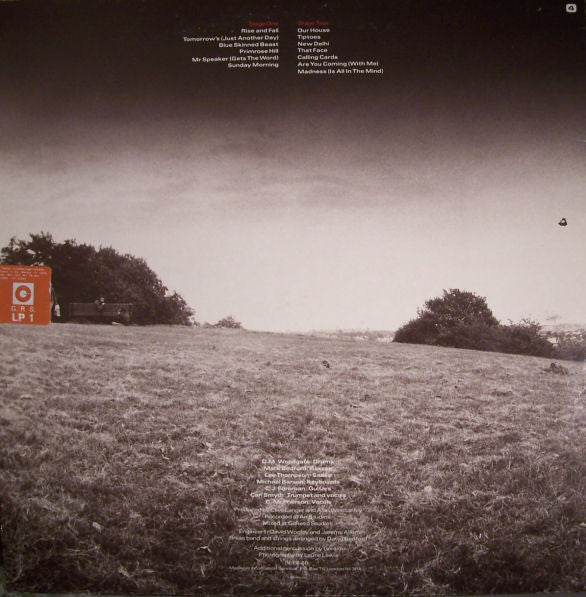 Madness : The Rise & Fall (LP, Album, Bla)