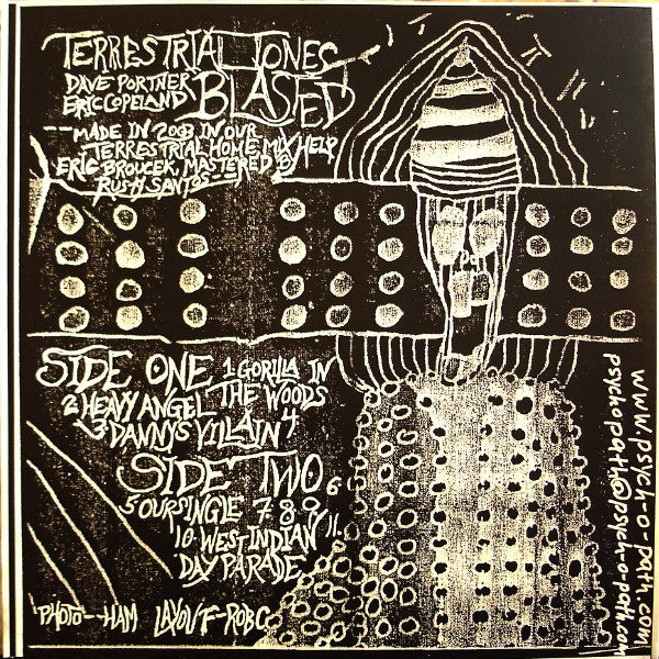 Terrestrial Tones : Blasted (LP)