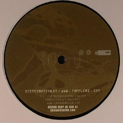 The Logic Box : Lezard Voice (12")