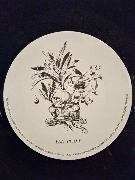 The Chrysanthemums : Little Flecks Of Foam Around Barking (2xLP, Album)