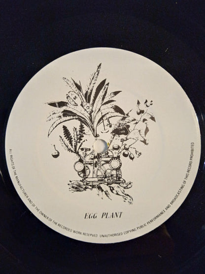 The Chrysanthemums : Little Flecks Of Foam Around Barking (2xLP, Album)