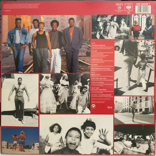 Earth, Wind & Fire : Touch The World (LP, Album)