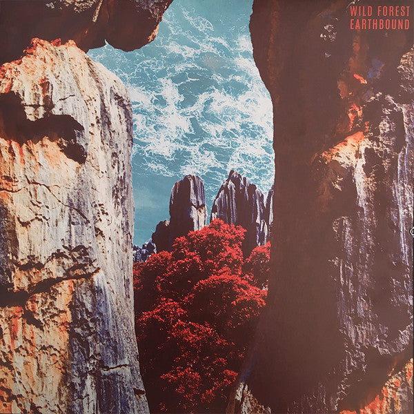 Wild Forest : Earthbound (LP, EP)