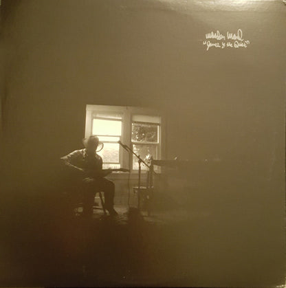 Wooden Wand : James And The Quiet (LP, Album)