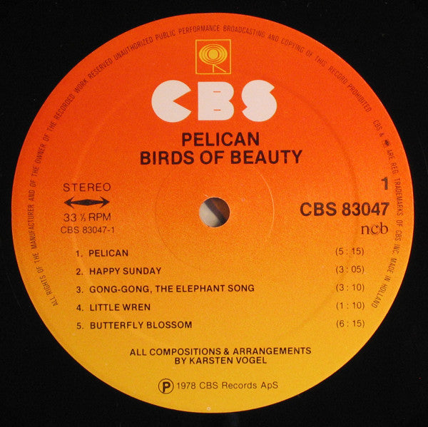 Birds Of Beauty : Pelican (LP, Album)