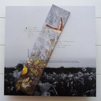 Roslyn Steer : You'll Know (LP, Album, Ltd, RE, RM)