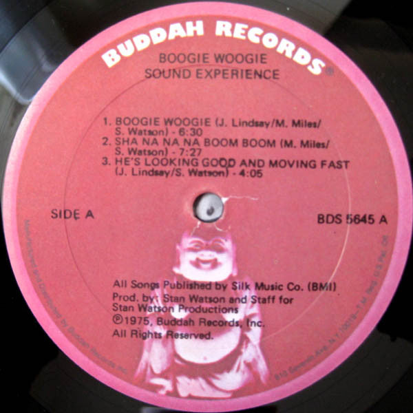 Sound Experience (2) : Boogie Woogie (LP, Album, Mon)