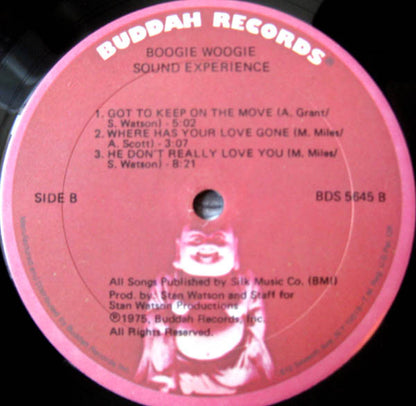 Sound Experience (2) : Boogie Woogie (LP, Album, Mon)