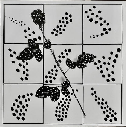 Danny Denial : Cryptoficitions (LP, Album)