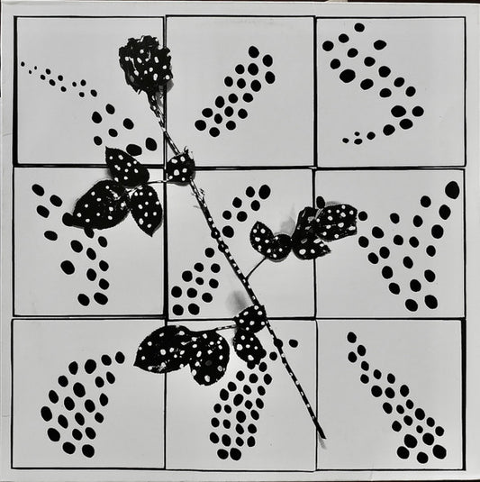 Danny Denial : Cryptoficitions (LP, Album)