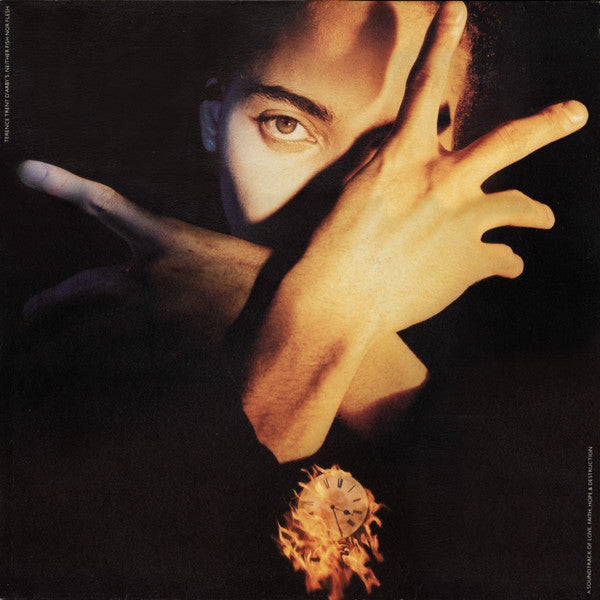 Terence Trent D'Arby : Terence Trent D'Arby's Neither Fish Nor Flesh (A Soundtrack Of Love, Faith, Hope & Destruction) (LP, Album)