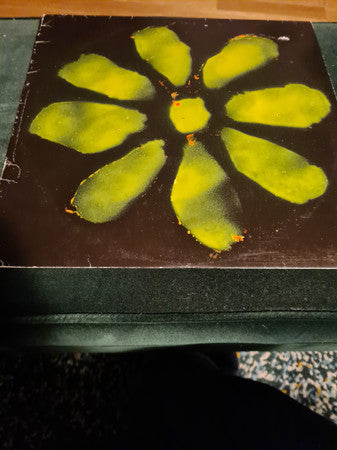 Painted Daisies : No One Knows (12")