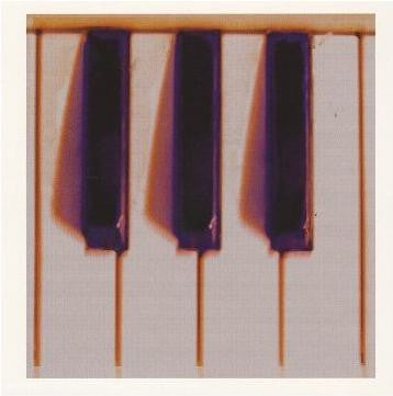 Susumu Yokota : Wonder Waltz (CD, Album)