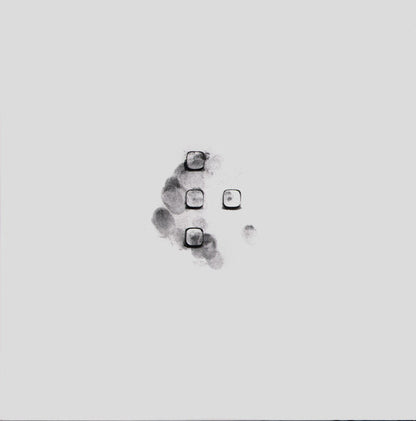 Rihanna : Anti (2xLP, Album)