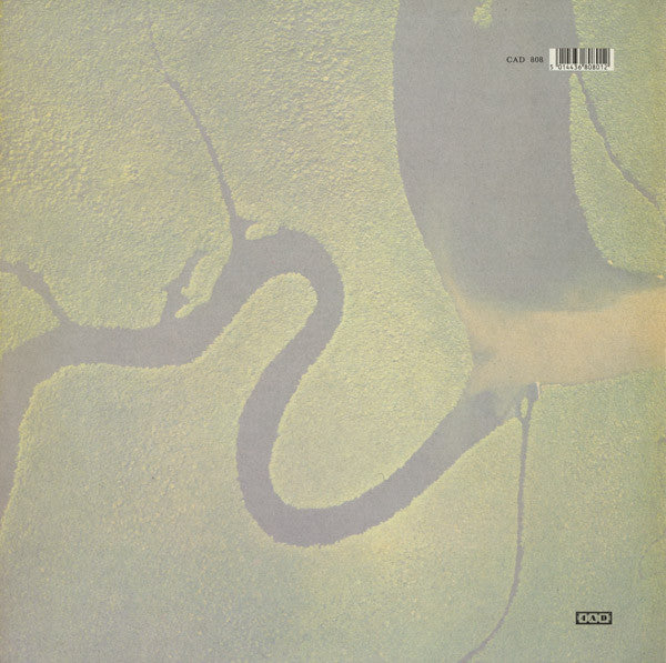 Dead Can Dance : The Serpent's Egg (LP, Album)