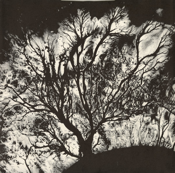 Dead Can Dance : The Serpent's Egg (LP, Album)