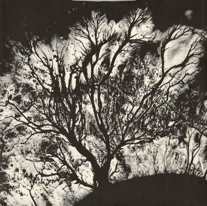 Dead Can Dance : The Serpent's Egg (LP, Album)