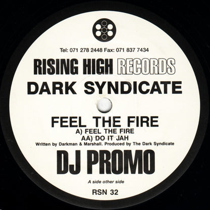 The Dark Syndicate (2) : Feel The Fire (12", Promo)