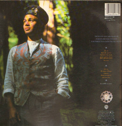 Narada Michael Walden : The Nature Of Things (LP, Album)