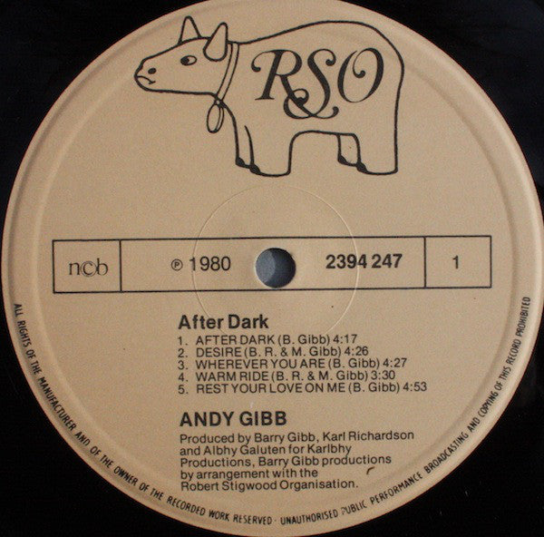 Andy Gibb : After Dark (LP, Album)