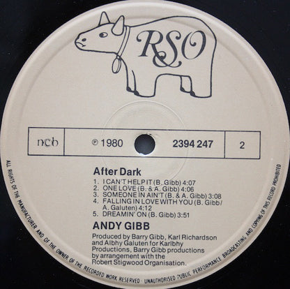 Andy Gibb : After Dark (LP, Album)