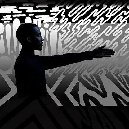 Raphael Saadiq : Jimmy Lee (2xLP, Album)