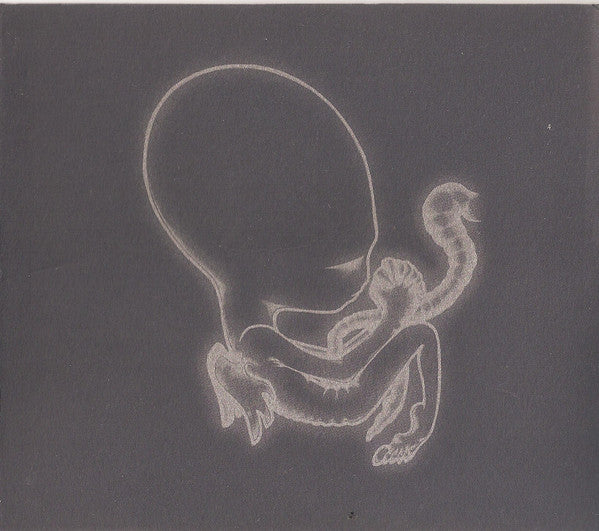 Sigur Rós : Ágætis Byrjun (CD, Album, Car)