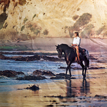 John Denver : Windsong (LP, Album, Gat)