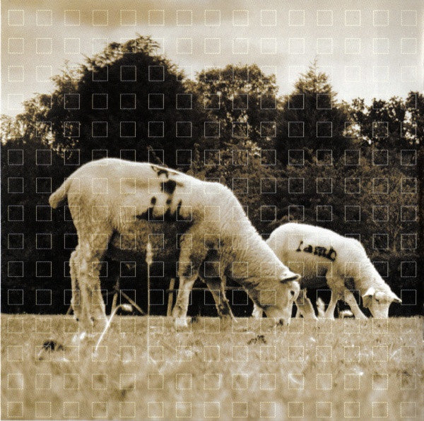 Lamb : What Sound (CD, Album)