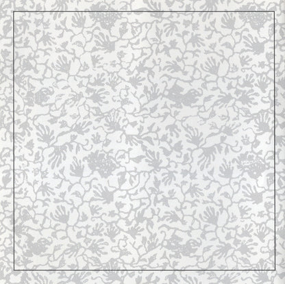 Jaroslav Krček, Josef Krček, Musica Bohemica : České Zpěvy Vánoční = Bohemian Christmas Songs (CD, Album)