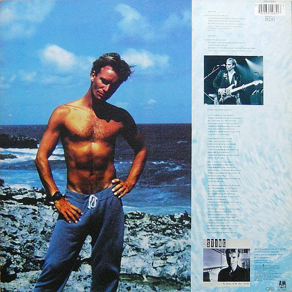 Sting : Love Is The Seventh Wave (New Mix) (12", Maxi, Ltd)